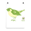 Poster Lime Bird