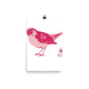 Poster Pink Bird